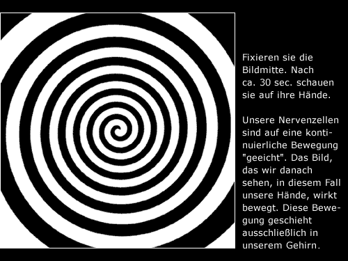 373537692spirale.gif