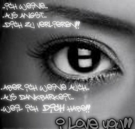 auge.jpg